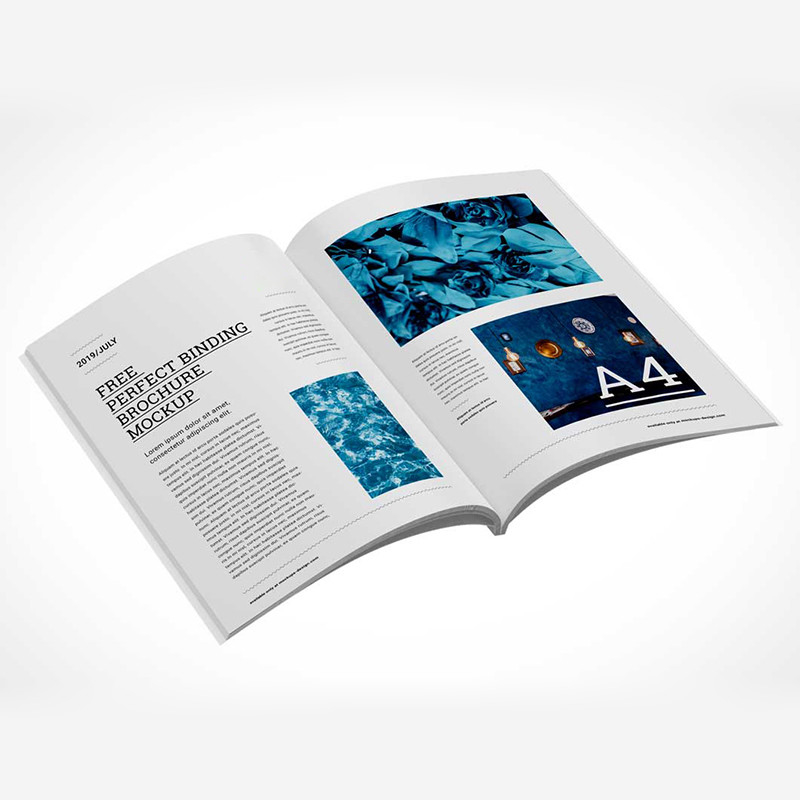 Livro de colorir personalizado em papel de arte impressão design clássico certificado CS