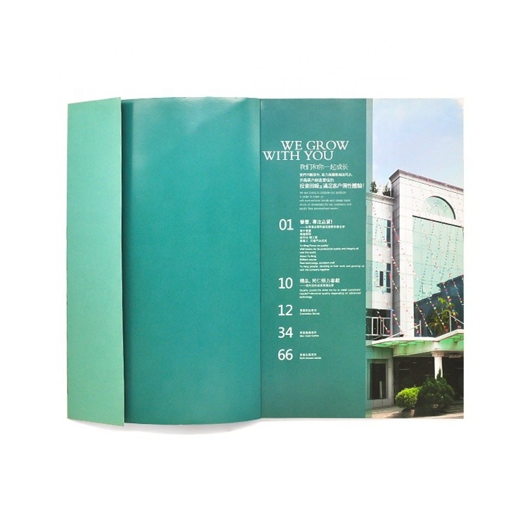 Impressão de livro ilustrado colorido personalizado 4c+4c Aprovação ISO em cores CMYK