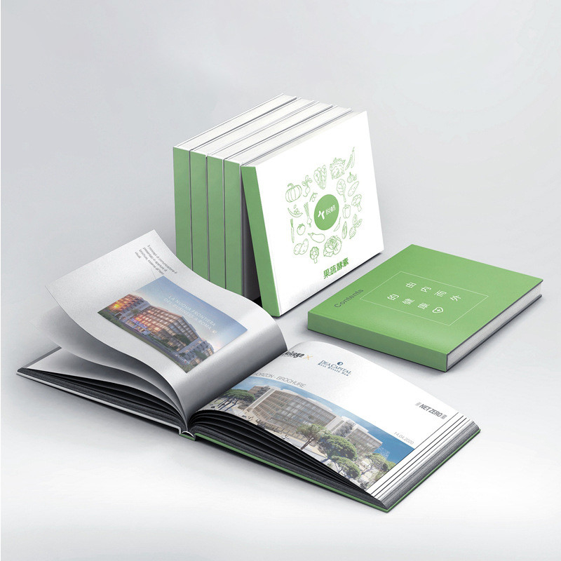 Folheto Guia Impressão em Cores Livreto 128gsm 157gsm Espessura da Capa