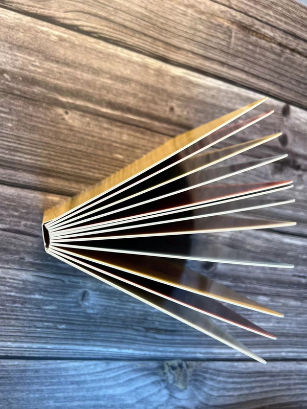 Livro colorindo feito sob encomenda do folheto do panfleto A5 que imprime o ISO da cor de Cmyk